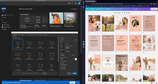 Canva vs Photoshop – Which One is Best for Beginners