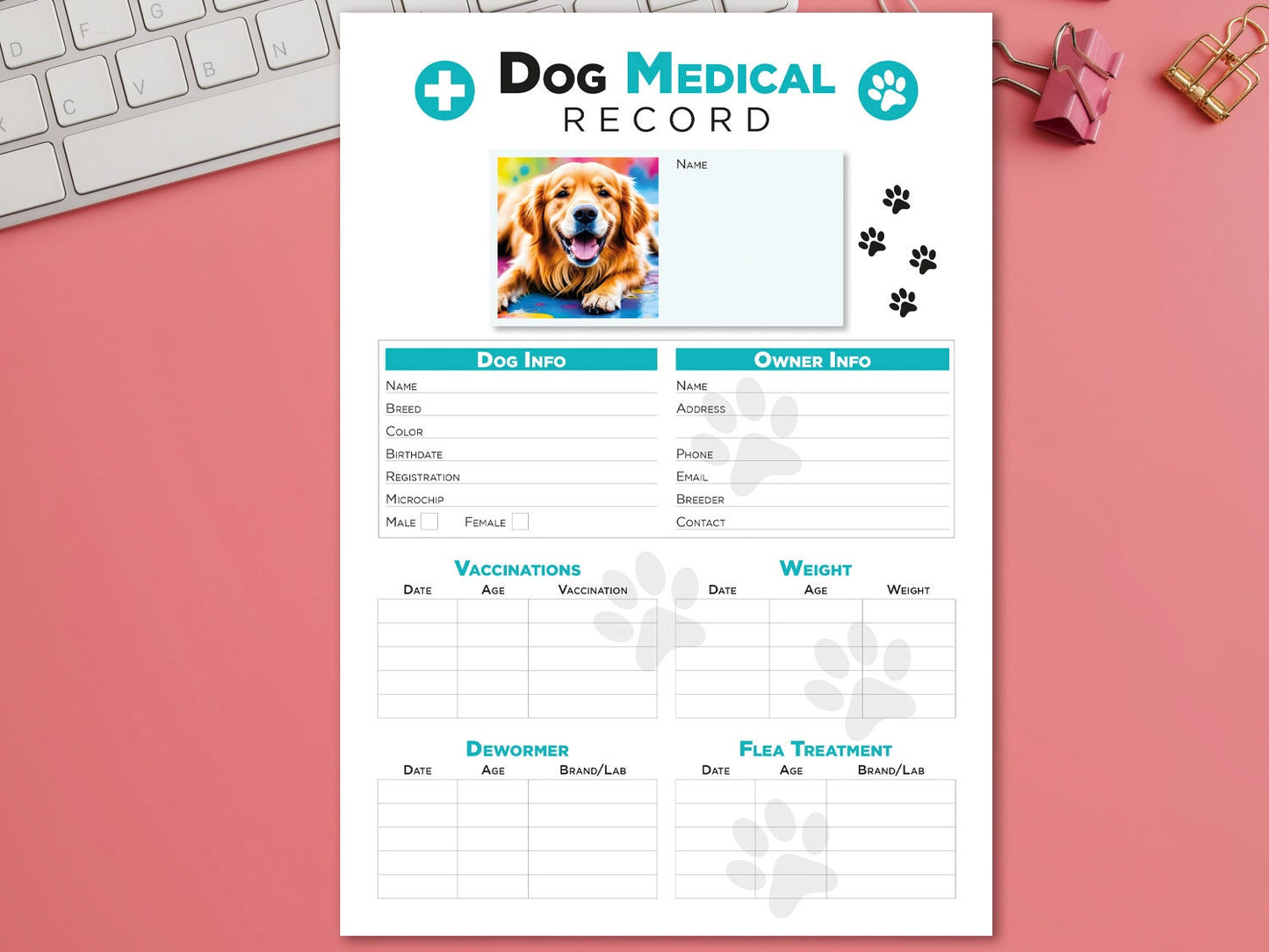 Editable Printable and Digital use Dog Medical Record schedule Planner Sheet PDF Vet Health Tracker, Manual Fulfillment, Dog sitting gift