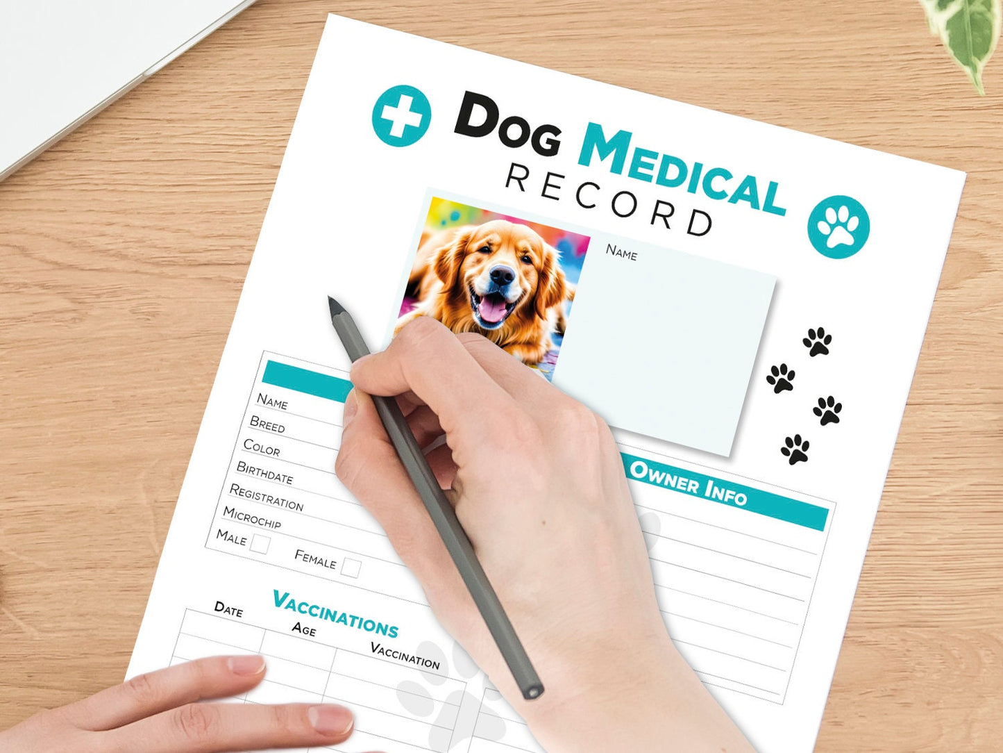 Editable Printable and Digital use Dog Medical Record schedule Planner Sheet PDF Vet Health Tracker, Manual Fulfillment, Dog sitting gift