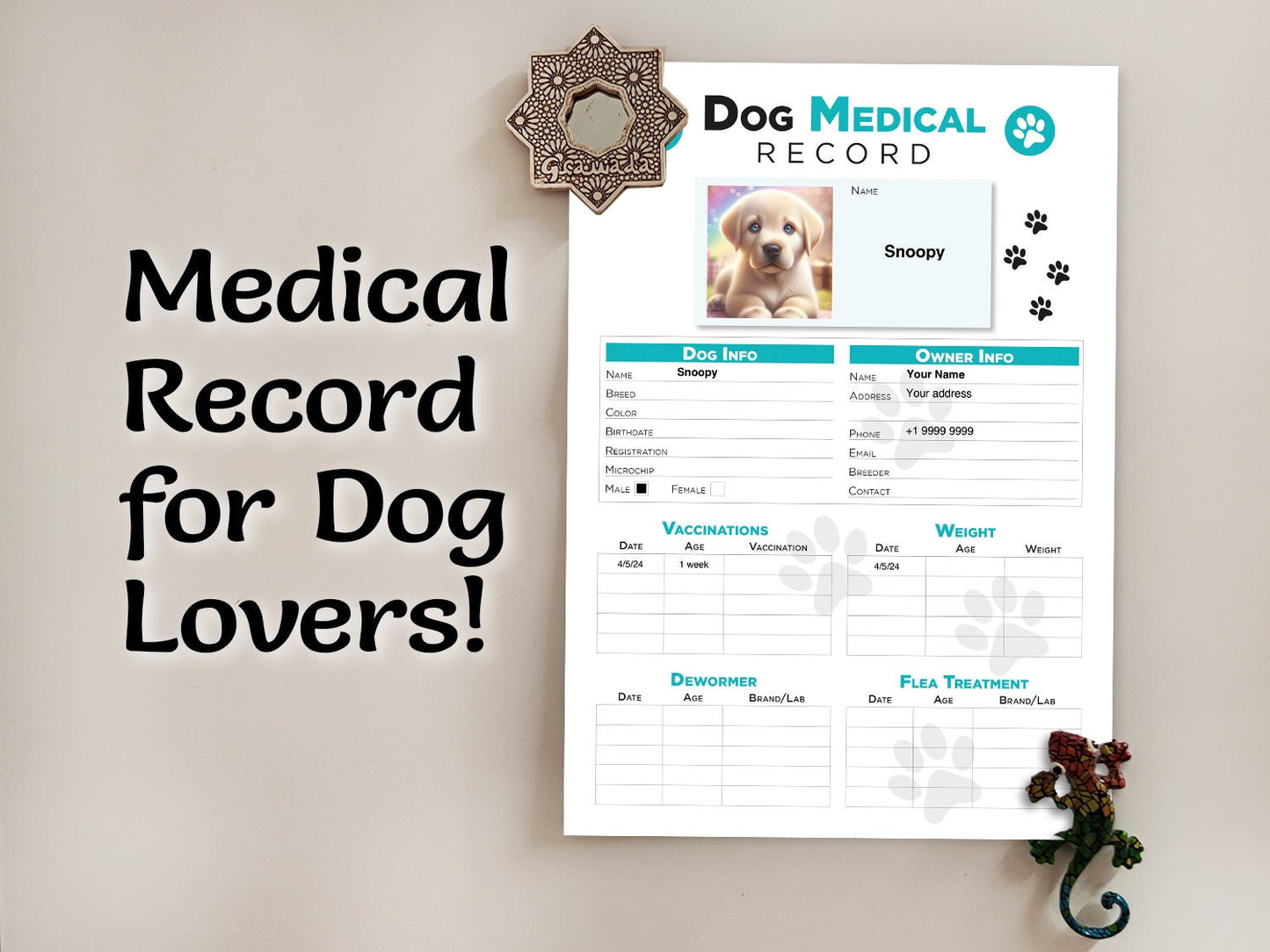 Editable Printable and Digital use Dog Medical Record schedule Planner Sheet PDF Vet Health Tracker, Manual Fulfillment, Dog sitting gift