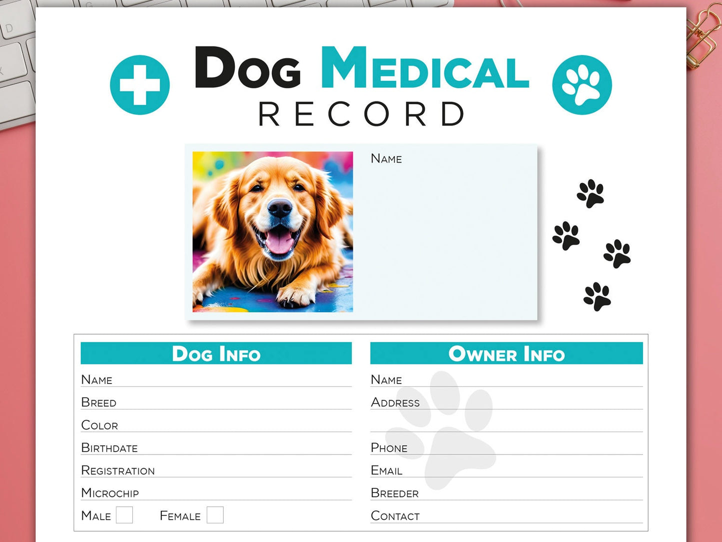 Editable Printable and Digital use Dog Medical Record schedule Planner Sheet PDF Vet Health Tracker, Manual Fulfillment, Dog sitting gift