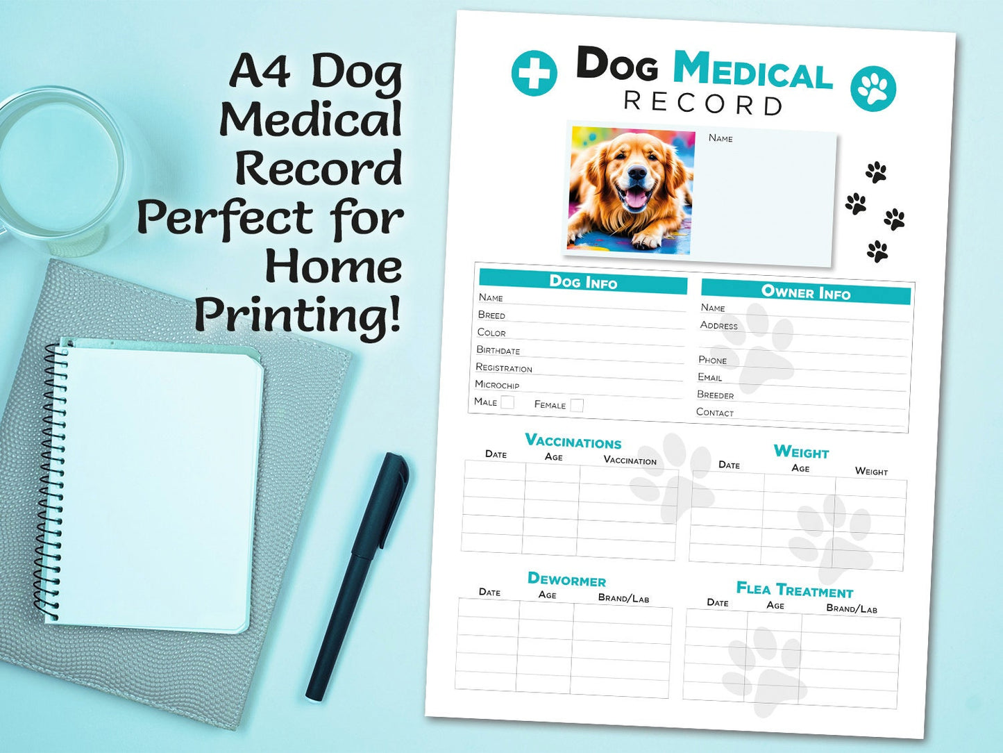 Editable Printable and Digital use Dog Medical Record schedule Planner Sheet PDF Vet Health Tracker, Manual Fulfillment, Dog sitting gift