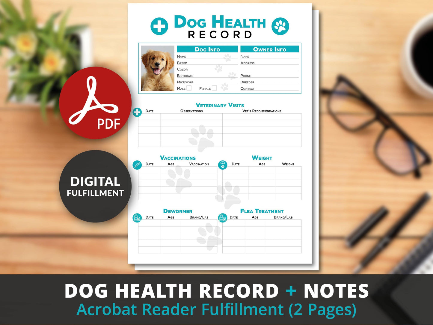 Editable Printable and Digital use Dog Health Record schedule Planner Sheet PDF Vet Health Tracker vaccination veterinary medication Notes