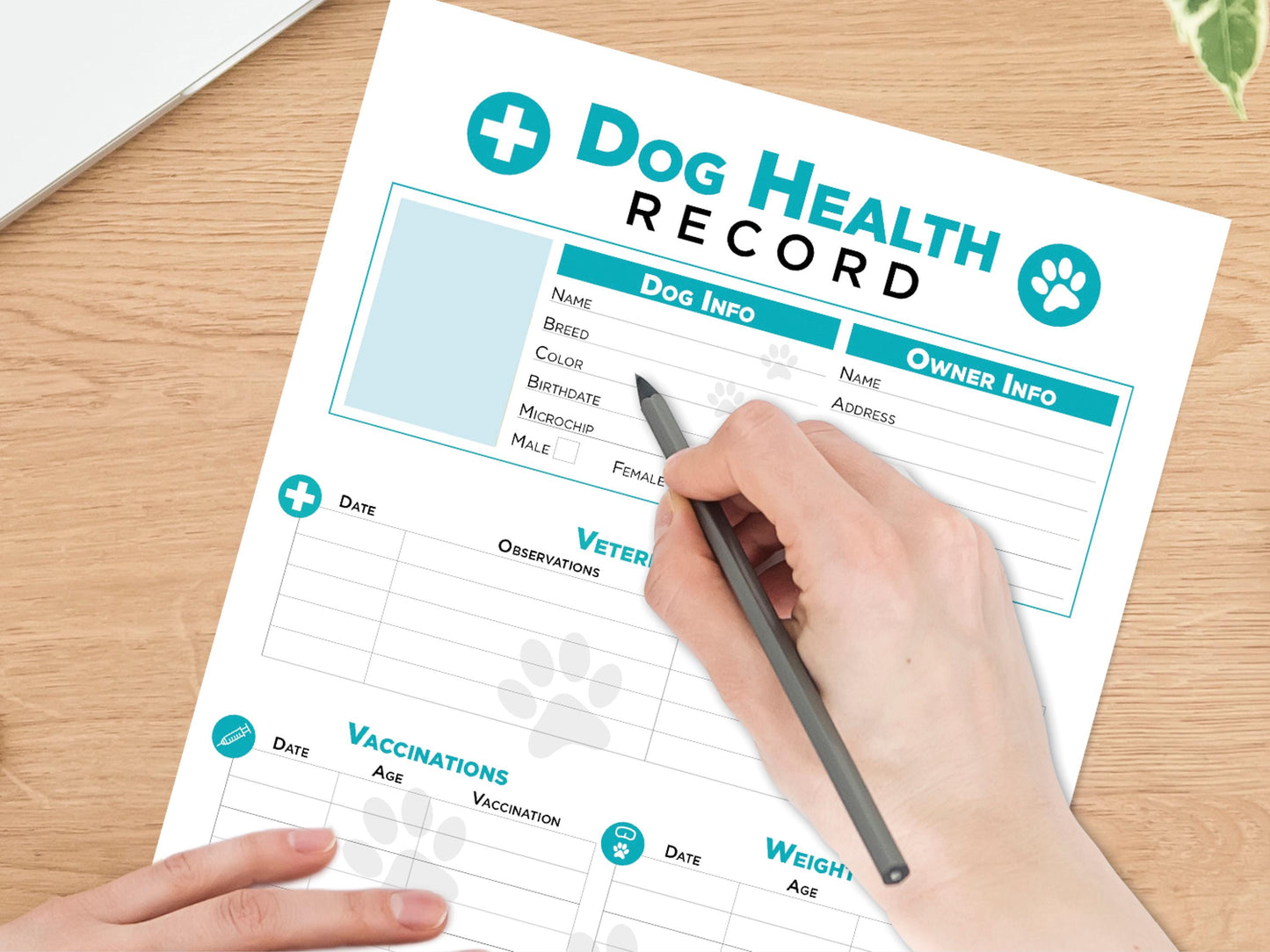 Hand Fulfillment. Editable Printable and Digital use Dog Health Record schedule Planner Sheet PDF Vet Health Tracker vaccination veterinary medication Notes