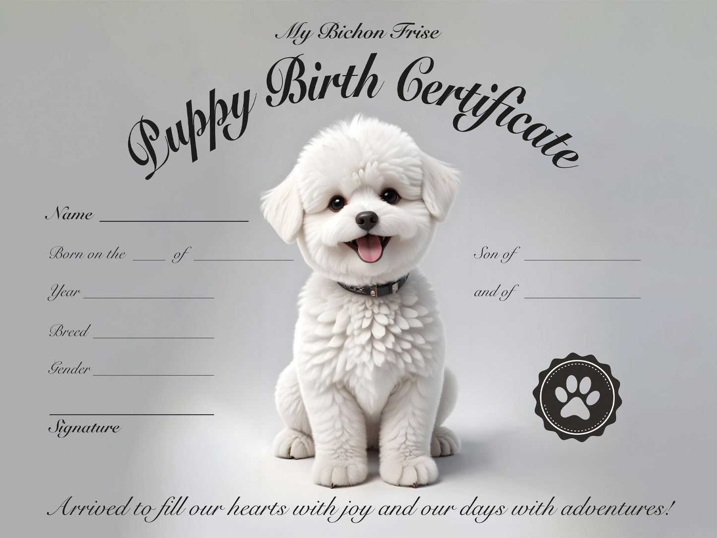 Bichon Frisepuppy certificate