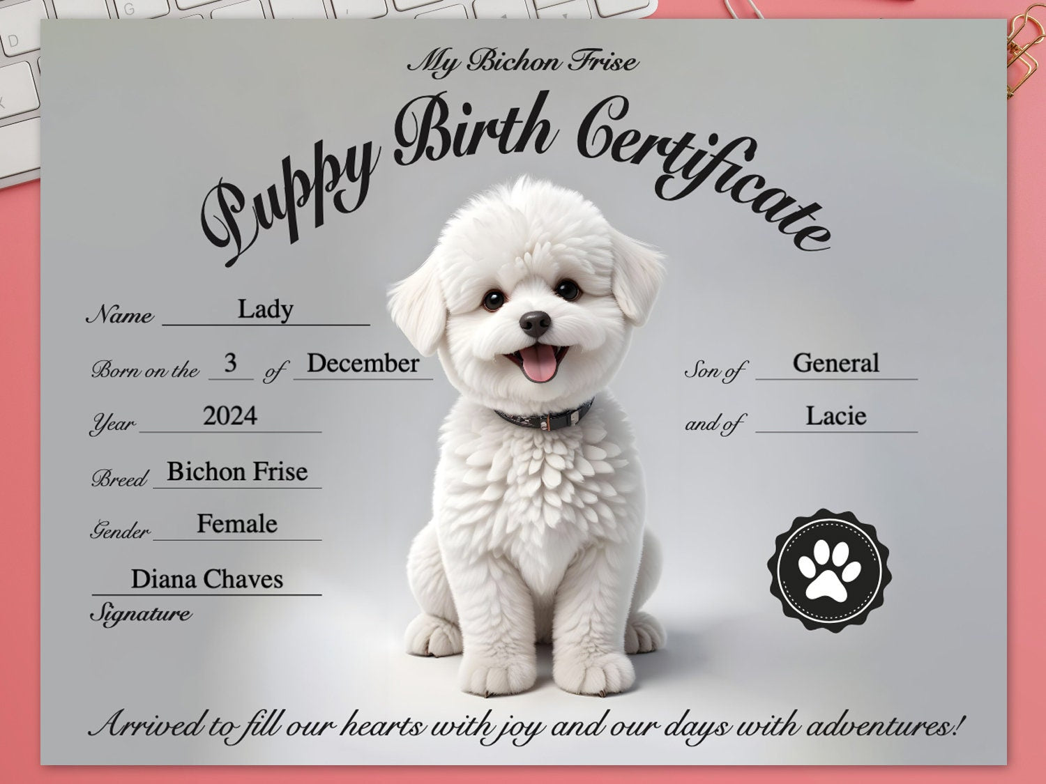 Bichon Frisepuppy certificate