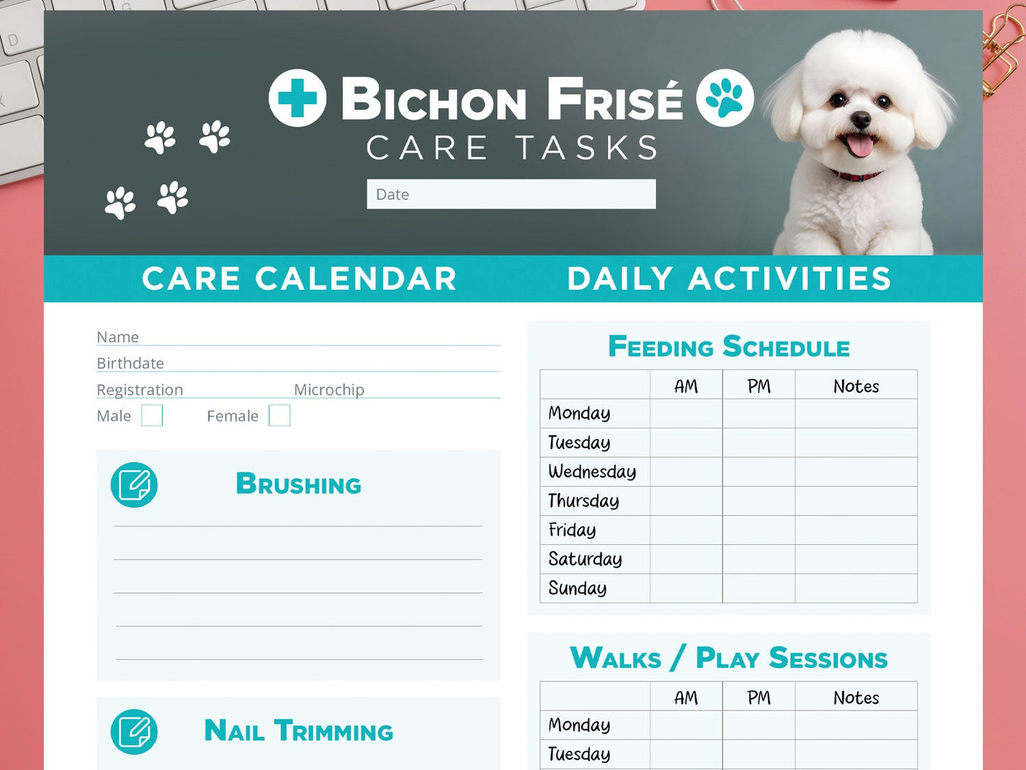 Bichon Frisé care tasks, brushing, nail trimming, vet appointments, feeding schedule, walks, play sessions, addicional notes