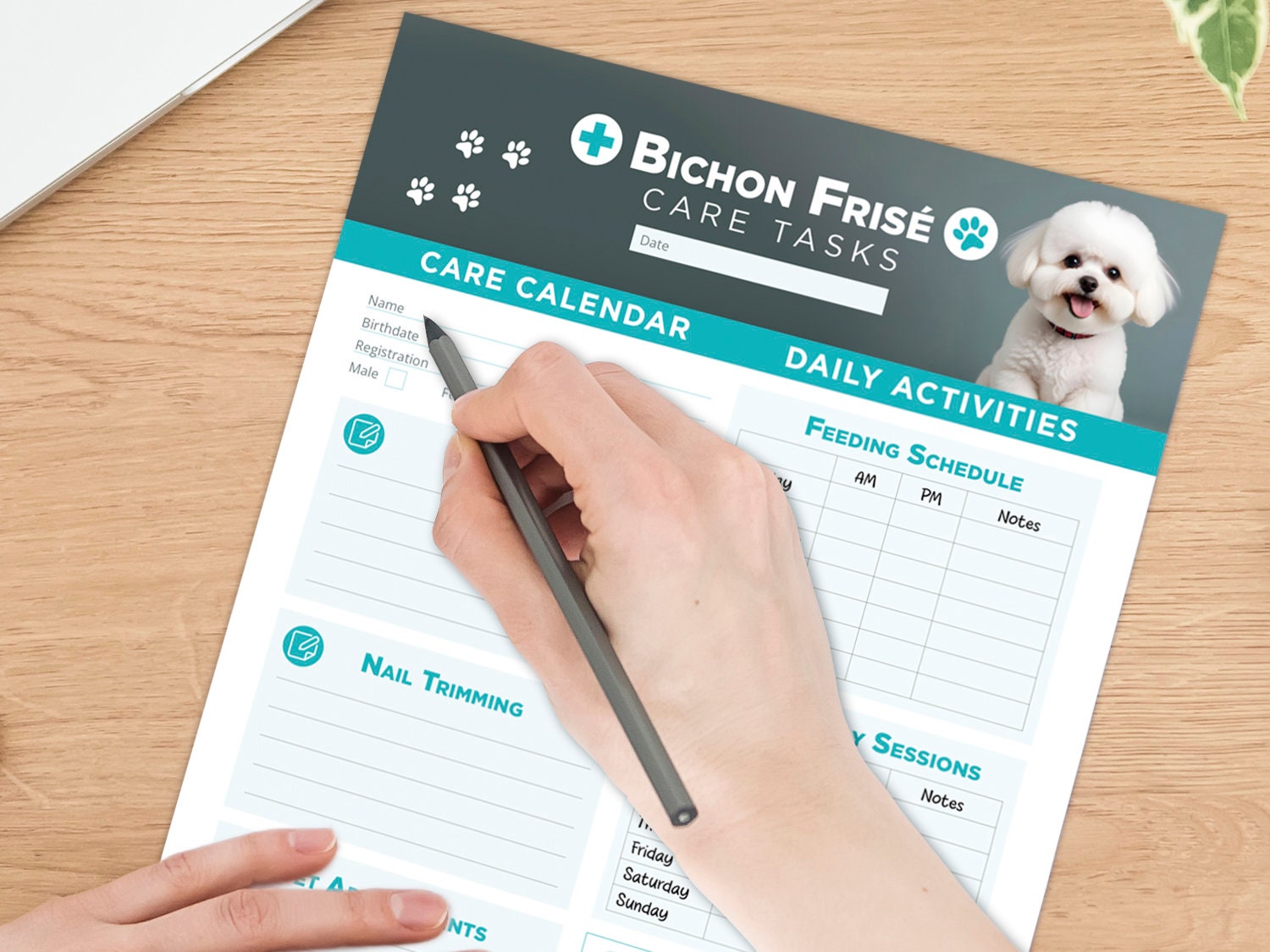 Bichon Frise Care Schedule printable and digital planner for vet visits care organizer grooming walks nail pet sitting tracker perfect gift