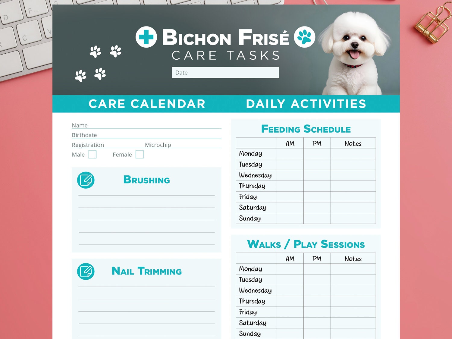 Bichon Frisé care tasks, brushing, nail trimming, vet appointments, feeding schedule, walks, play sessions, addicional notes