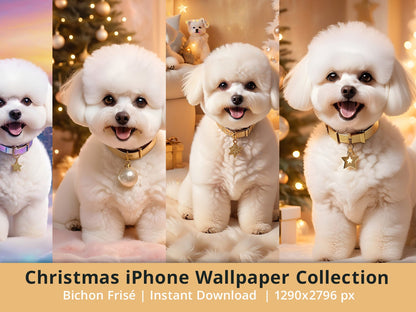 Bichon Frise Puppy Christmas Theme - iPhone wallpaper cute puppy dog lovers screen smartphone Christmas bundle wallpaper art background