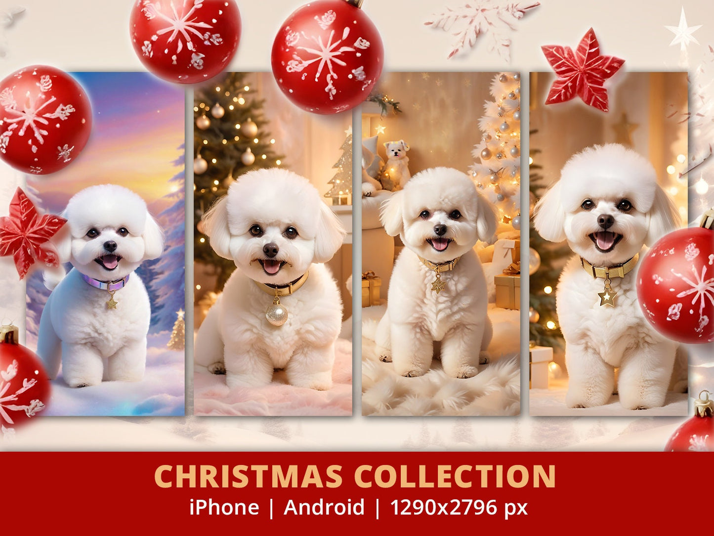 bichon frise christmas collection iphone wallpaper