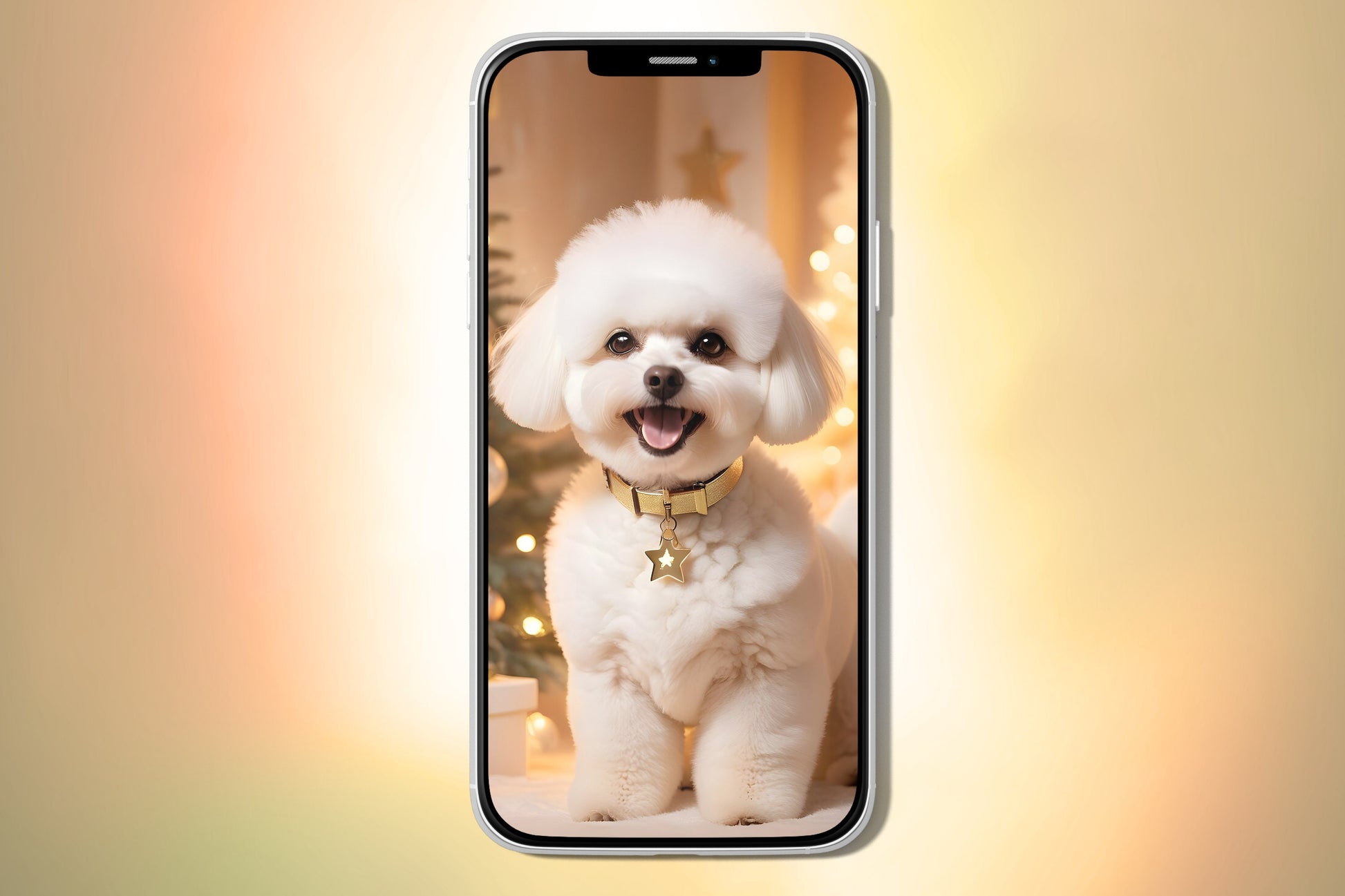 Bichon Frise Puppy Christmas Theme - iPhone wallpaper cute puppy dog lovers screen smartphone Christmas bundle wallpaper art background