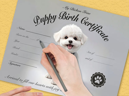 Bichon Frisepuppy certificate