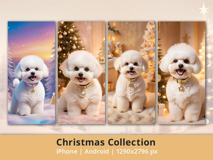 Bichon Frise Puppy Christmas Theme - iPhone wallpaper cute puppy dog lovers screen smartphone Christmas bundle wallpaper art background