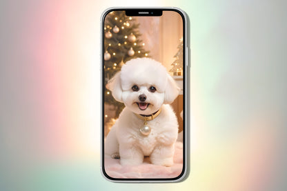 Bichon Frise Puppy Christmas Theme - iPhone wallpaper cute puppy dog lovers screen smartphone Christmas bundle wallpaper art background