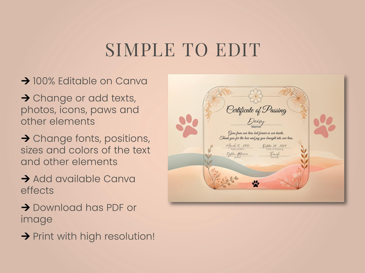 Simple to edit. Editable Dog Certificate of passing Printable and Digital use Canva template female male Puppy Gender Customizable Template Pet Memorial paw